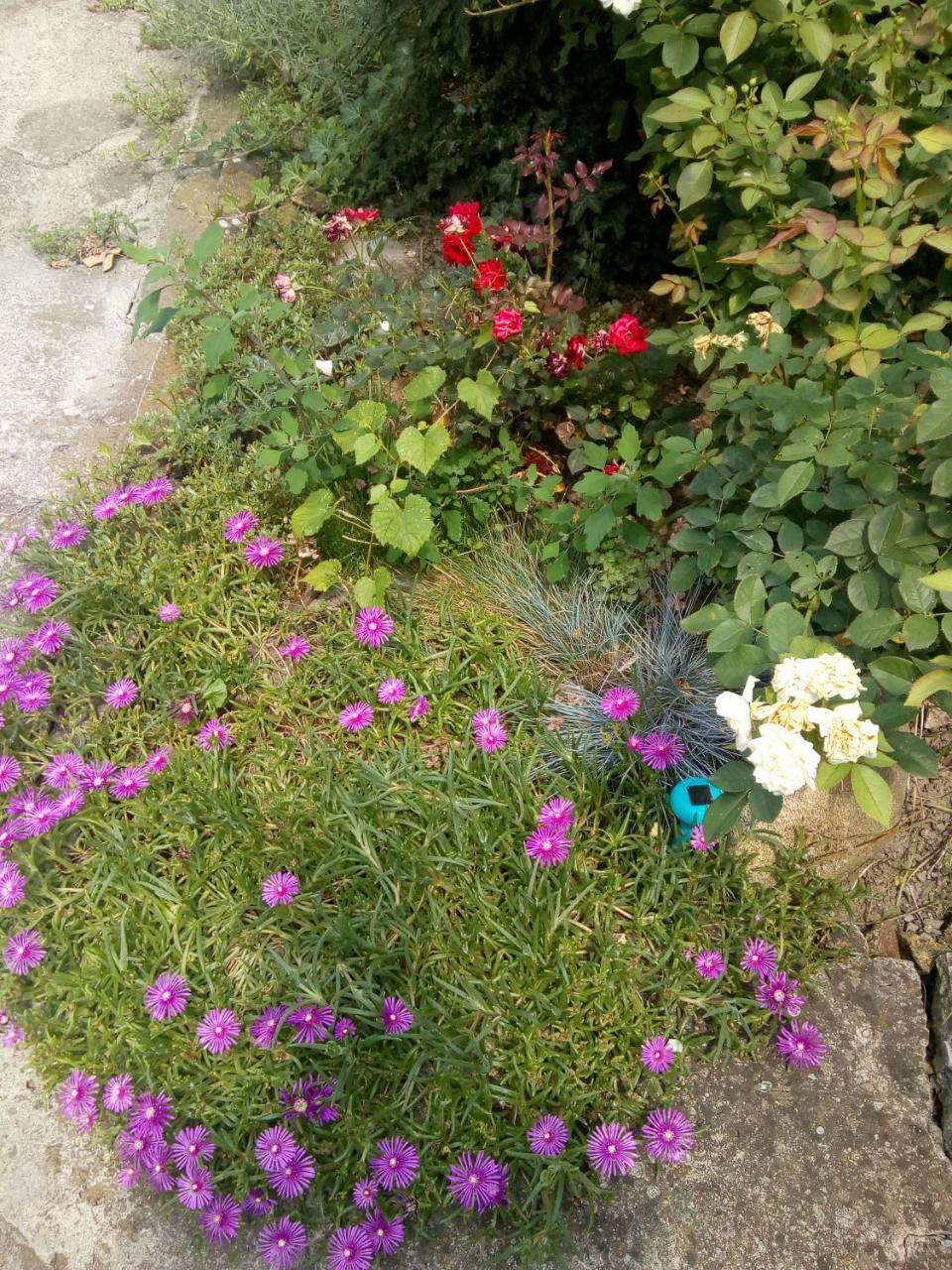 Beograd - Apartman "Gardos" Εξωτερικό φωτογραφία